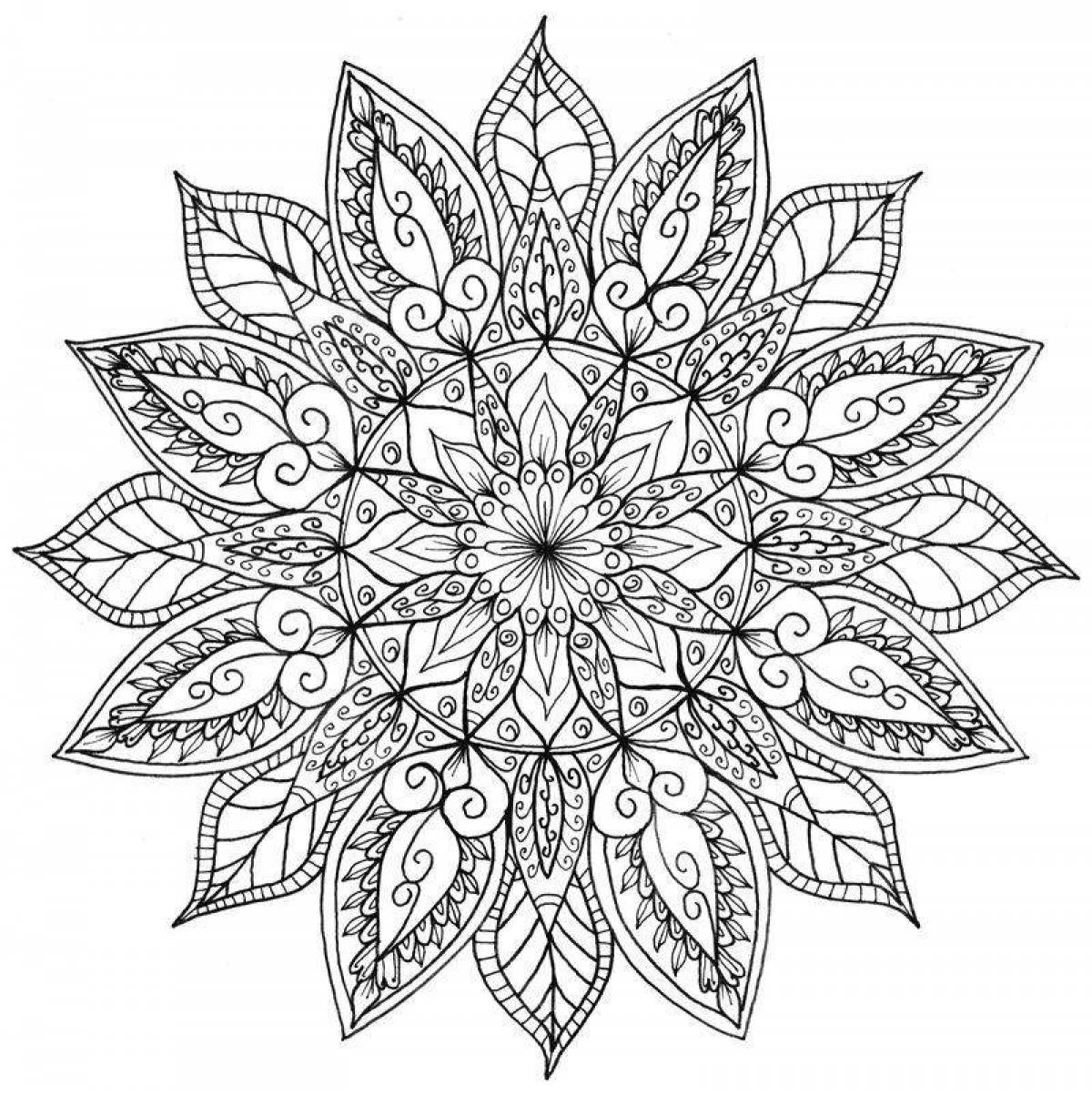 Exquisite mandala coloring book for adults