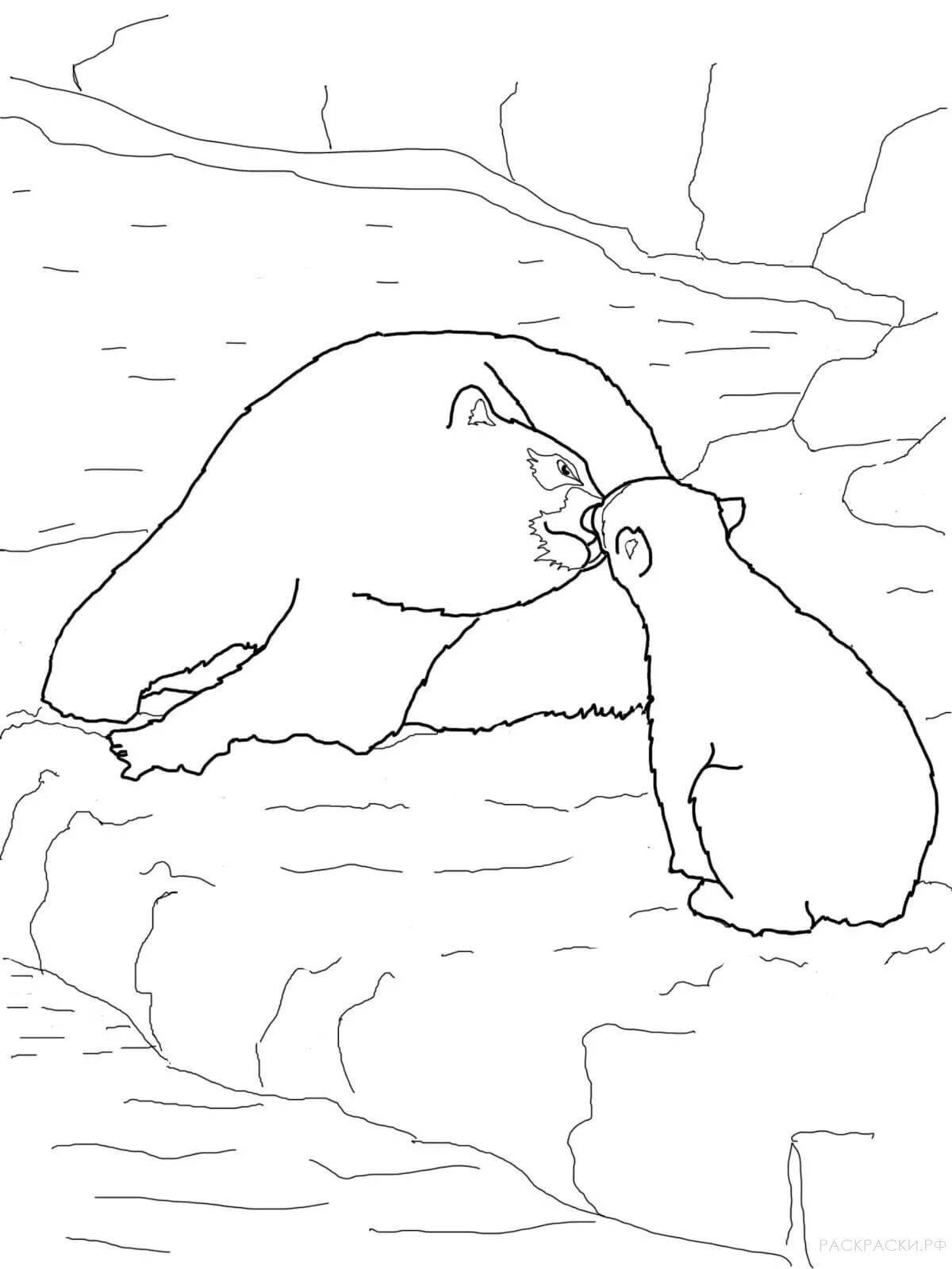 Charming polar bear coloring book