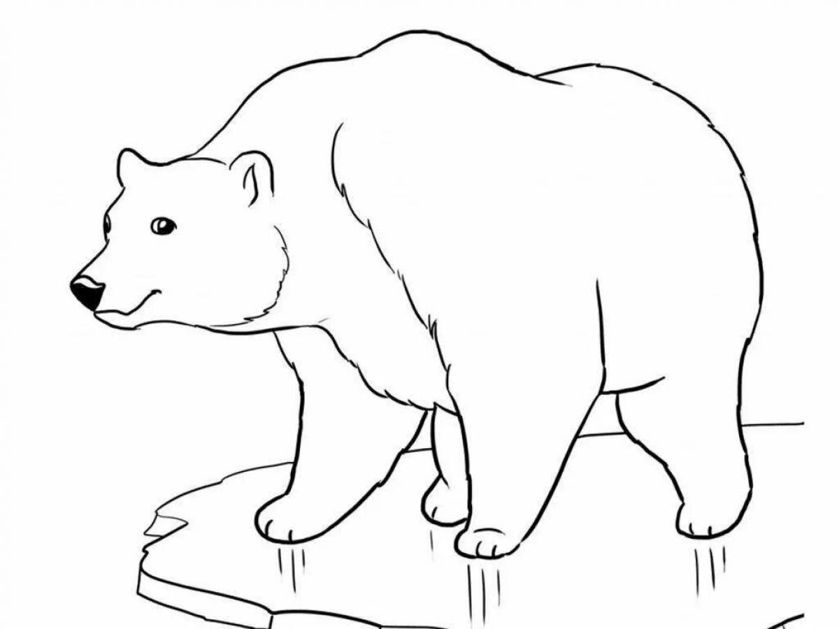 Arctic ice polar bear coloring page