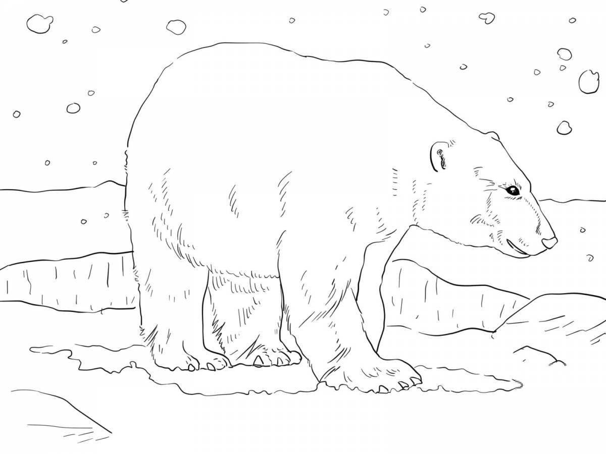 Adorable ice polar bear coloring page