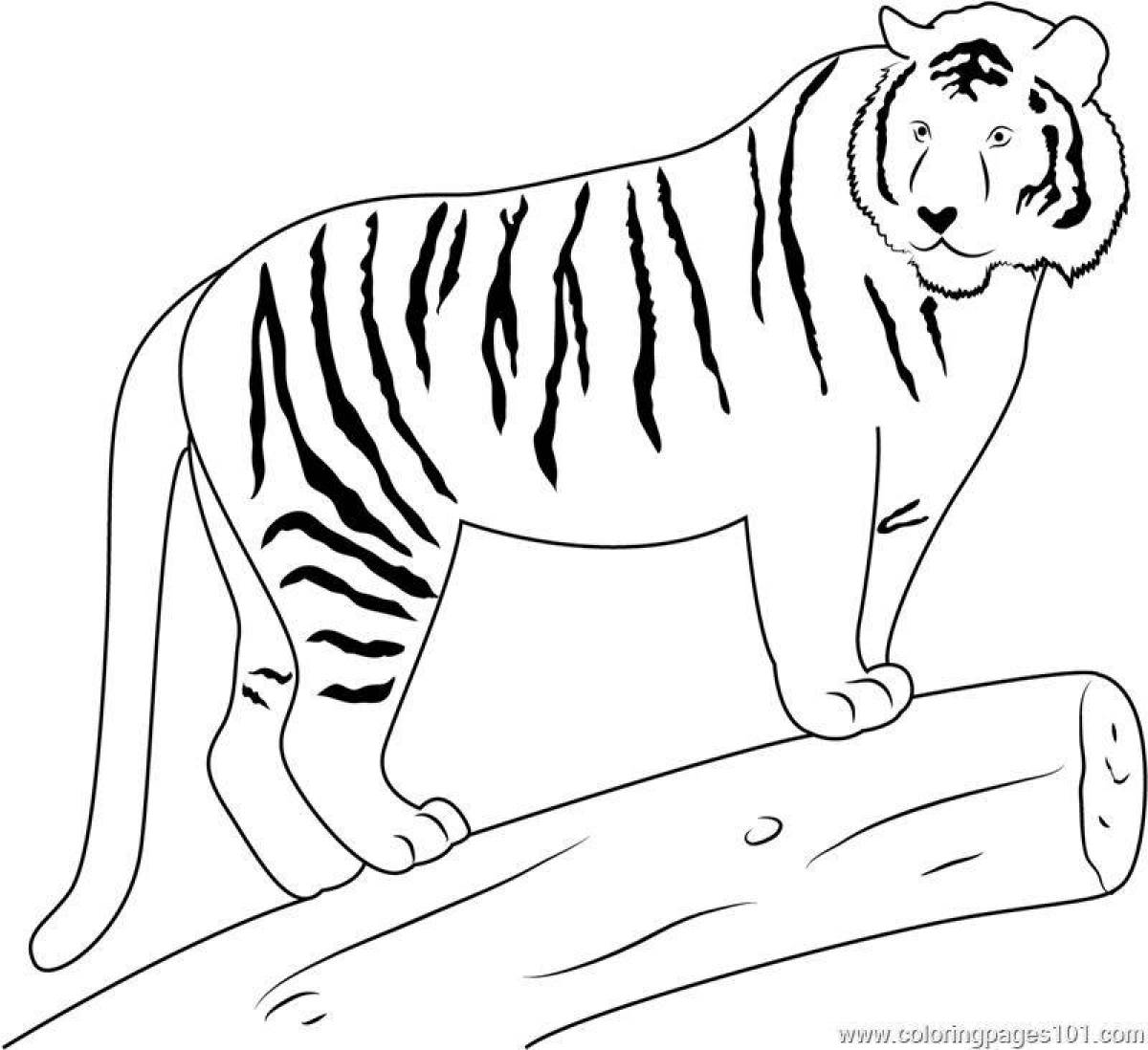 Раскраска величественный краснокнижный амурский тигр