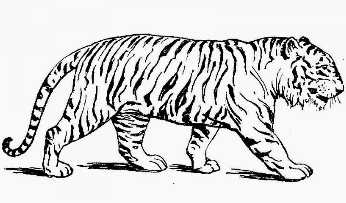Раскраска славный краснокнижный амурский тигр