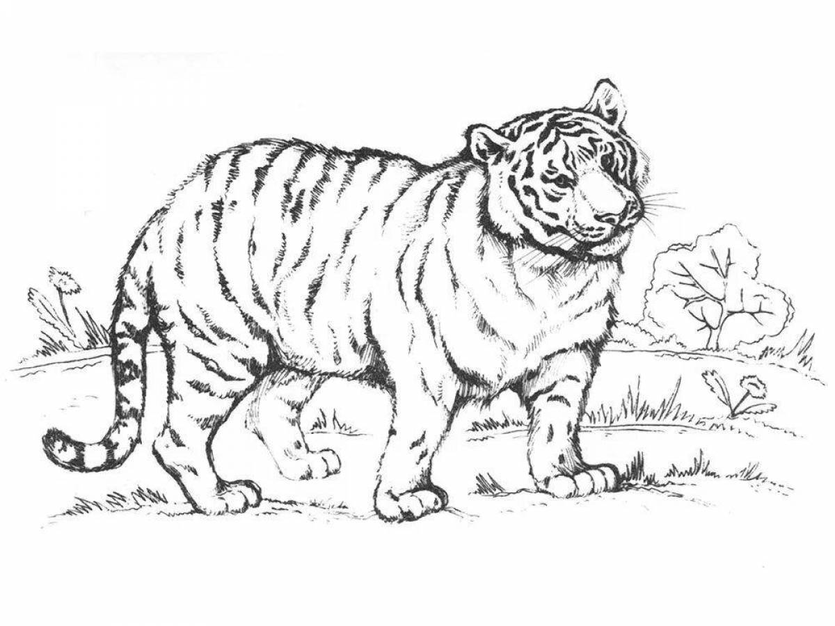 Exquisite red book coloring book Amur tiger