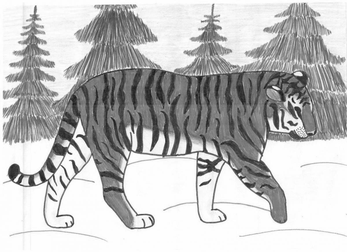 Раскраска элегантный краснокнижный амурский тигр