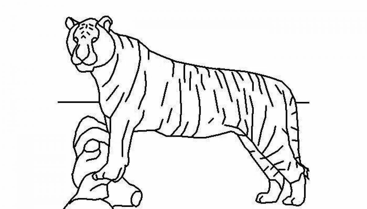 Большая красная книга амурский тигр раскраска
