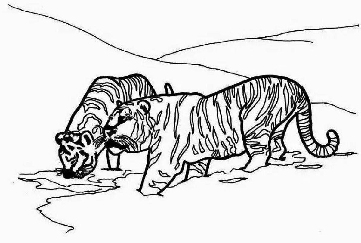 Ярко раскрашенная красная книга амурский тигр раскраска