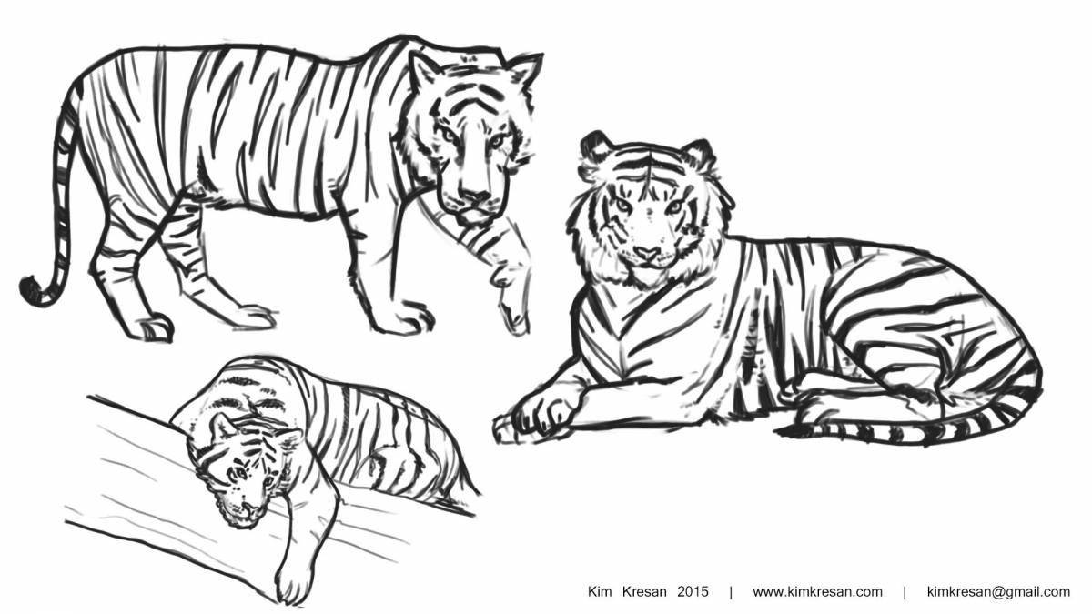 Красочная красная книга амурский тигр раскраска