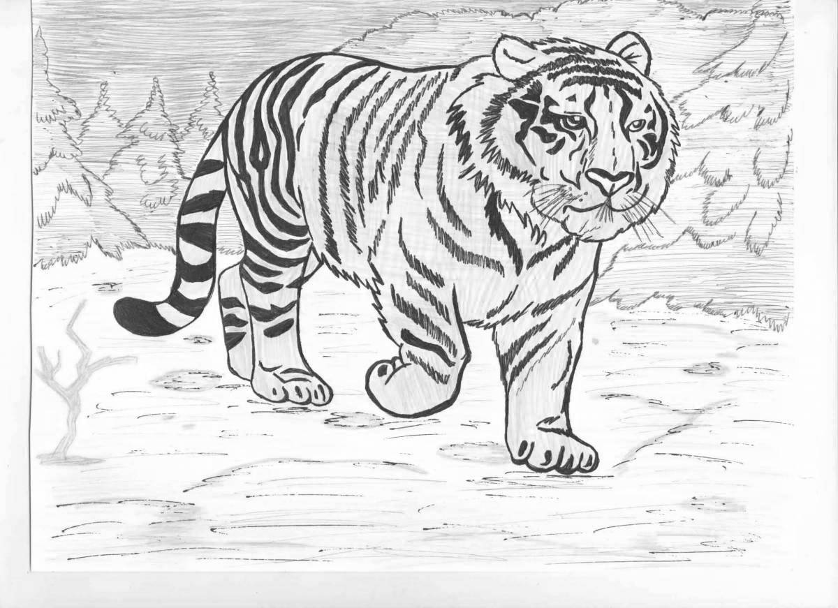 Красочно оформленная страница раскраски «амурский тигр из красной книги»
