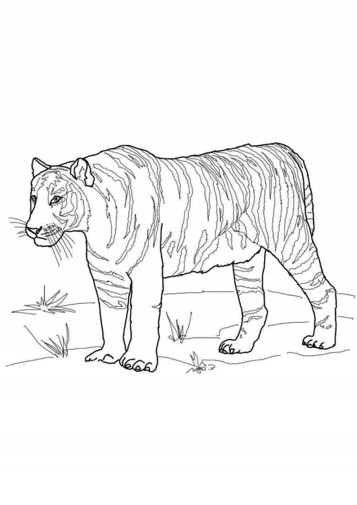 Bright red siberian tiger coloring book