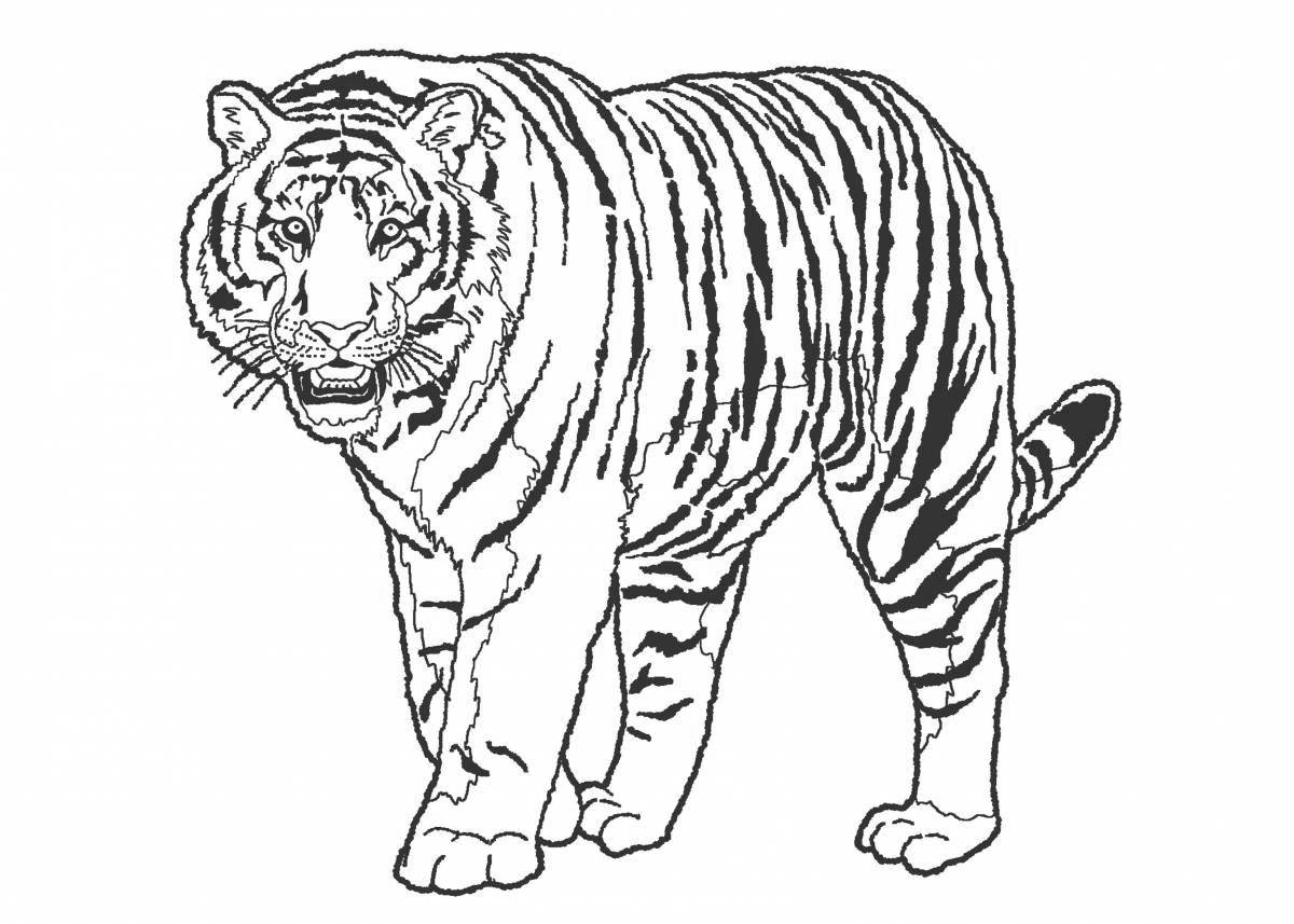 Блестяще отрисованный краснокнижный амурский тигр