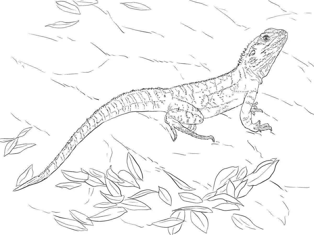 Fancy reptile coloring pages