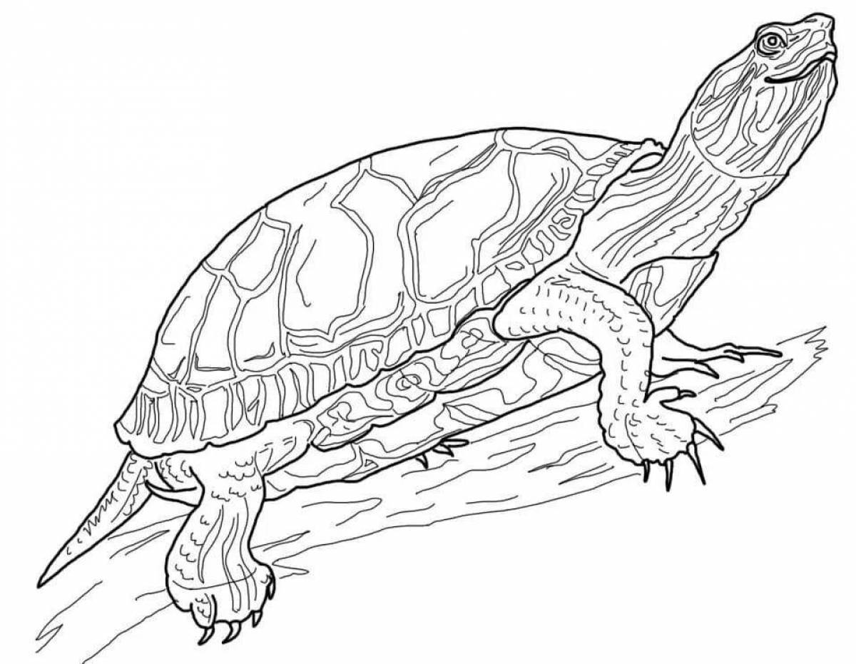Intricate reptile coloring pages