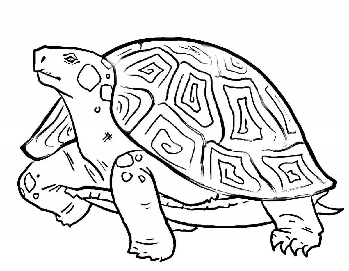 Fun reptile coloring book