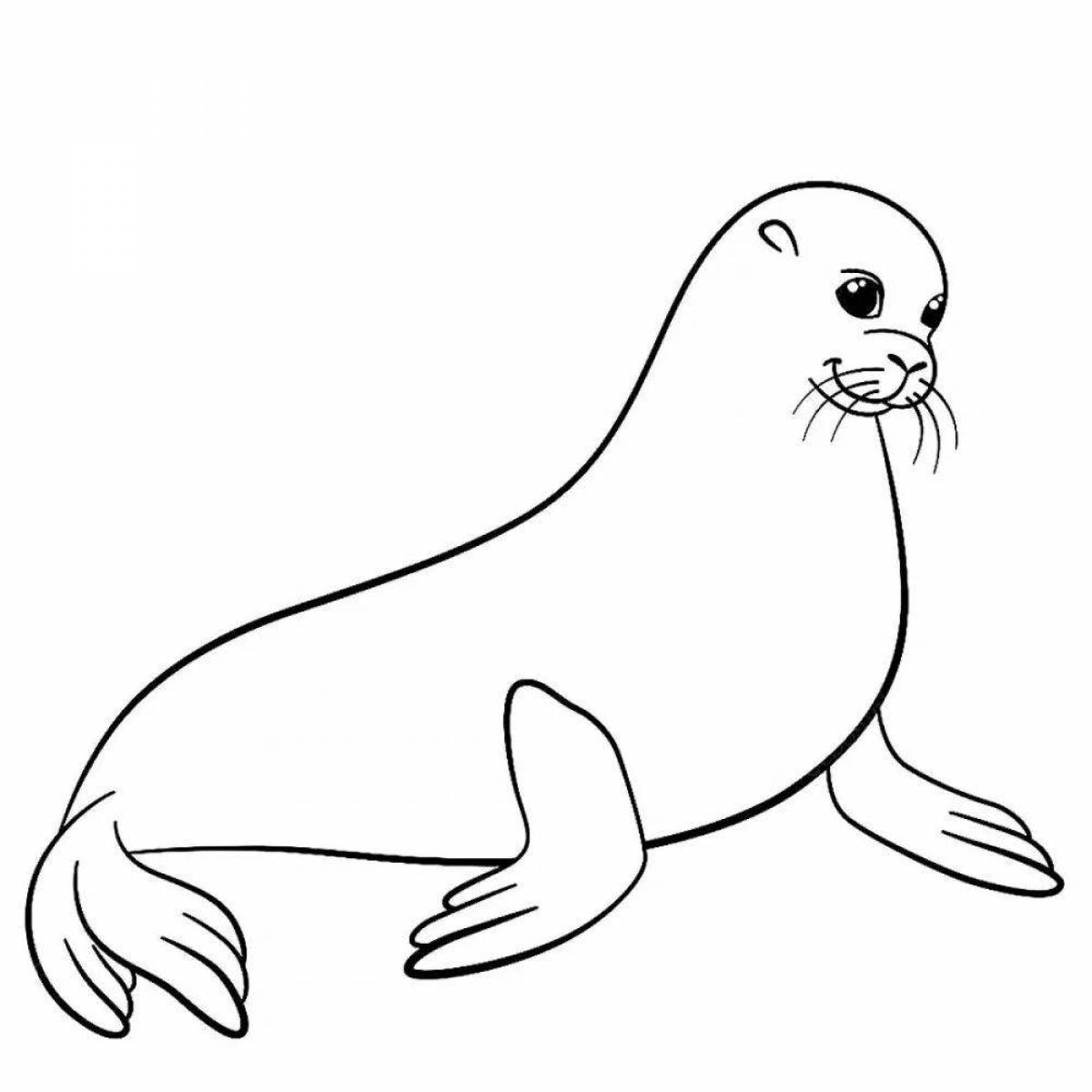 Adorable seal coloring book for kids