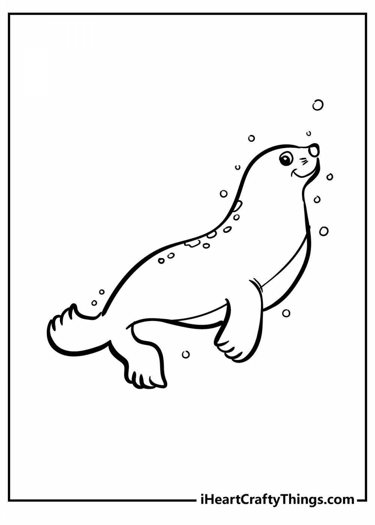 Cute seal coloring for kids