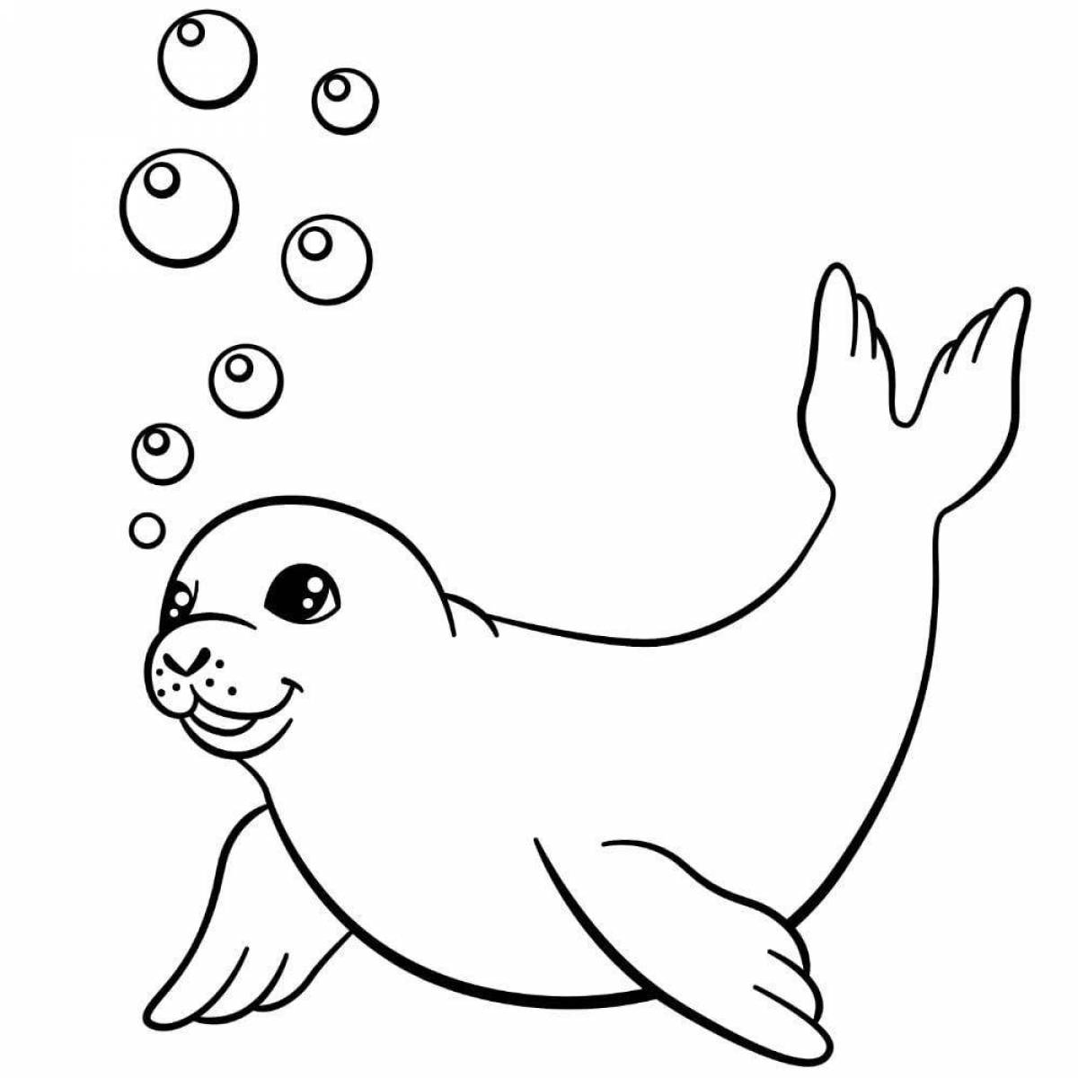 Colourful seal coloring book for kids