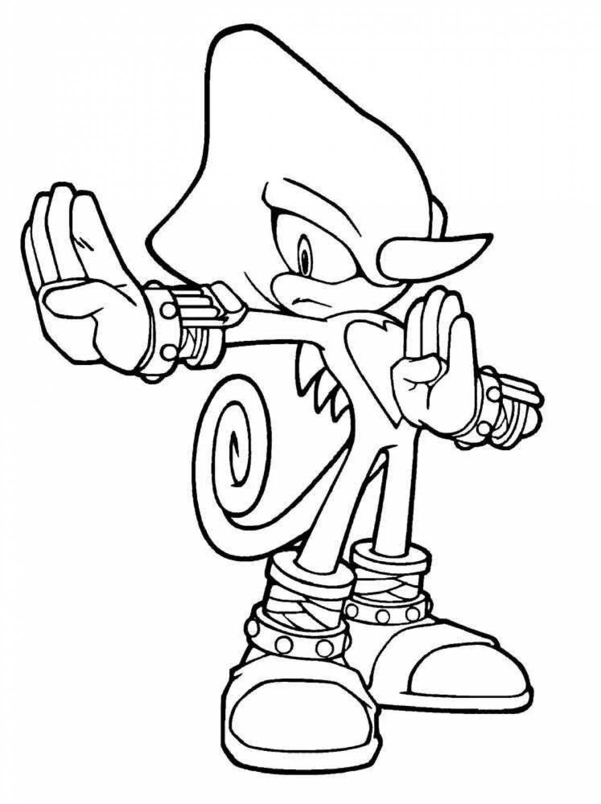 Great sonic heroes coloring book