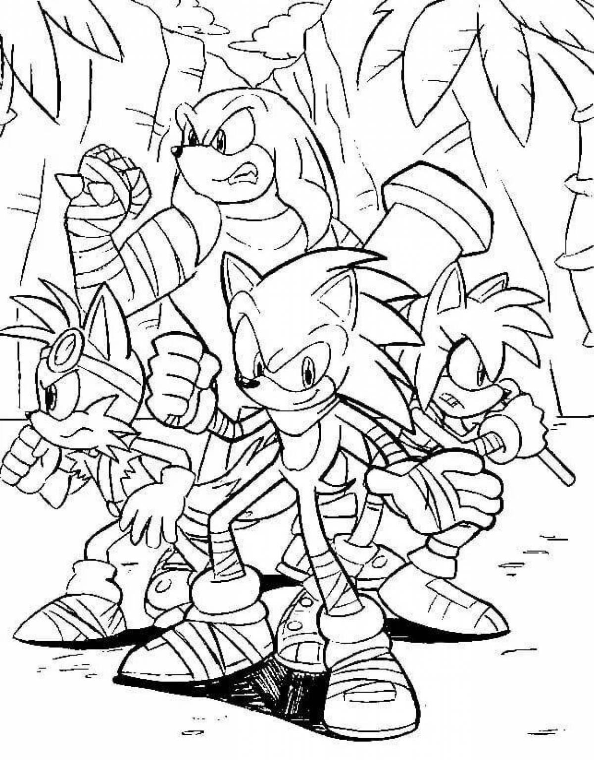 Animated sonic heroes coloring book