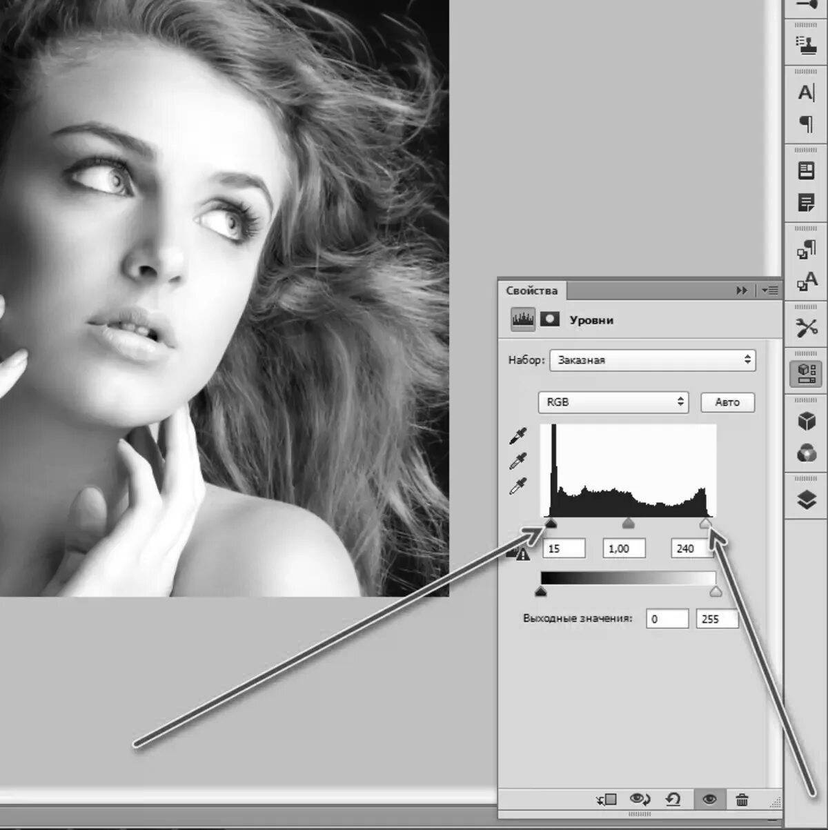Brilliant program for colorizing black and white photography