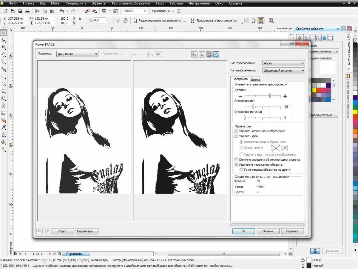 Photo Animated coloring black and white photo software