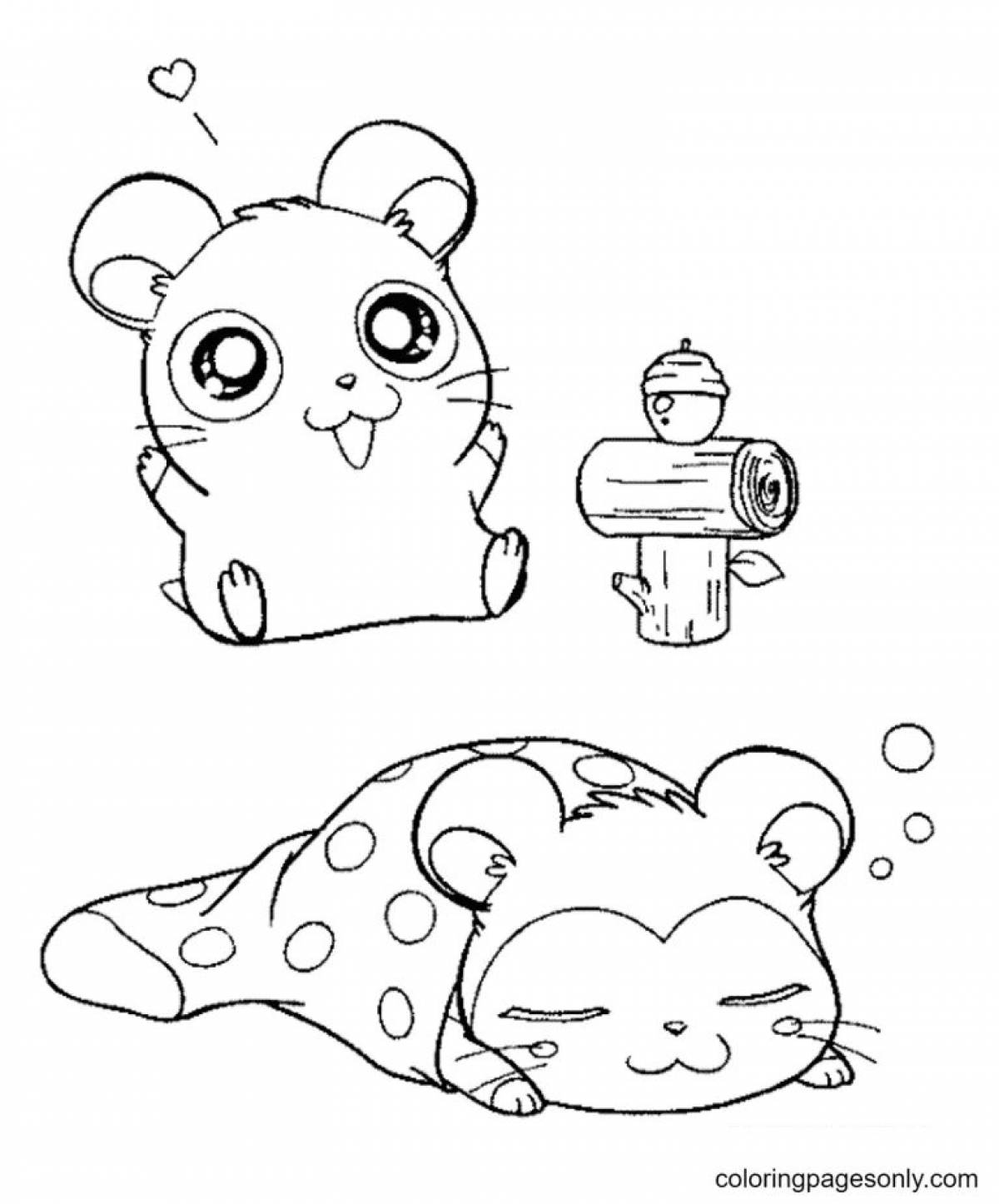 Cute hamsters #9