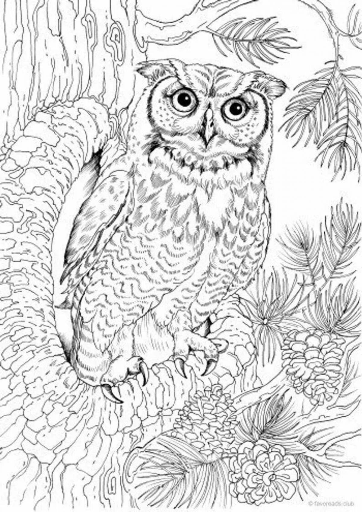 Coloring page exalted owl on a branch