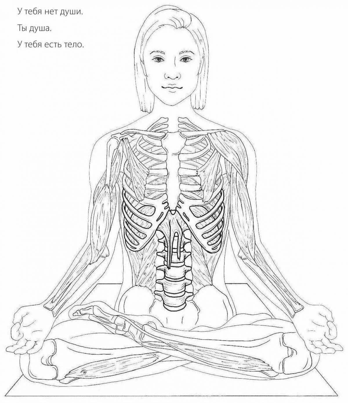 Яркая раскраска атлас анатомии йоги