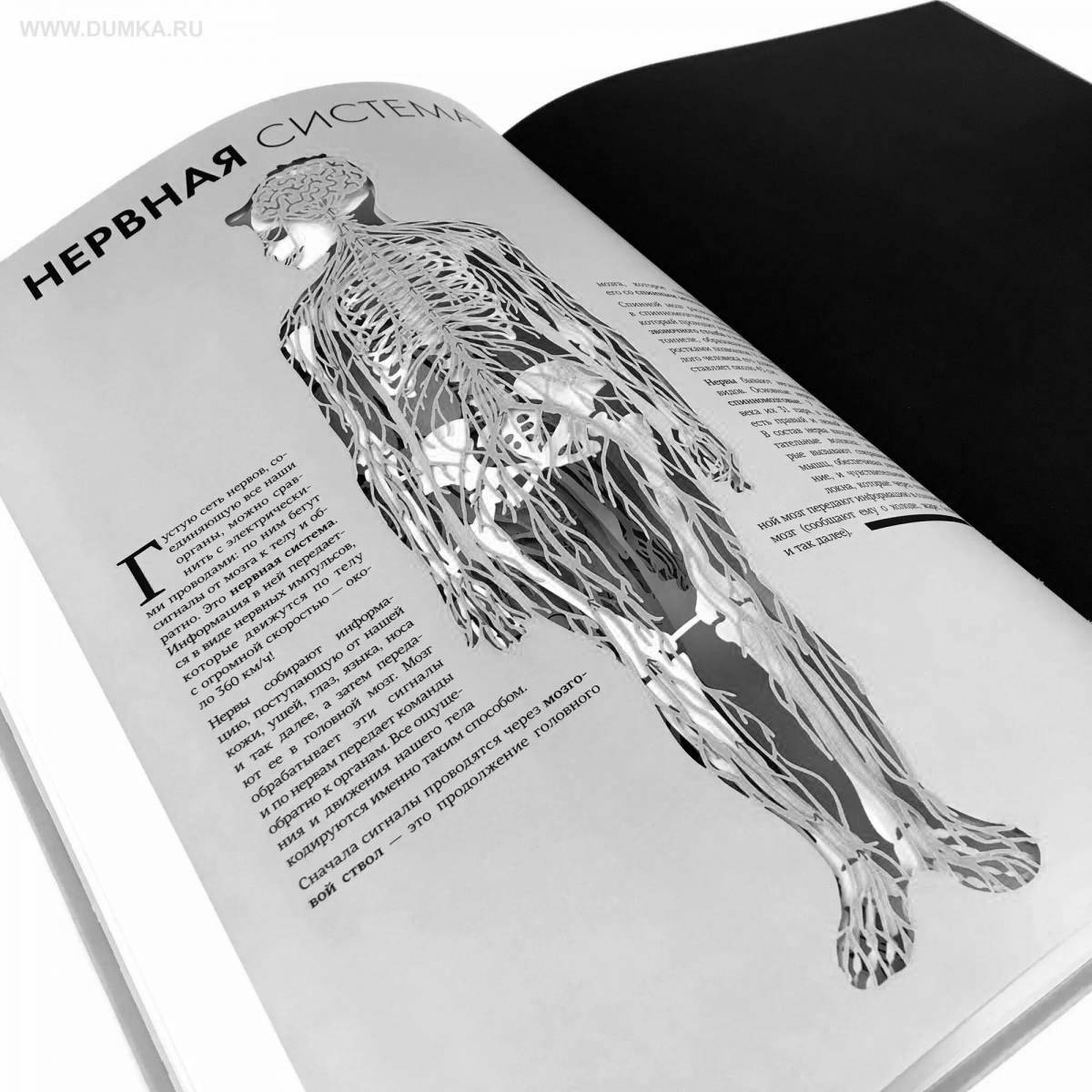 Интригующая раскраска атлас анатомии йоги