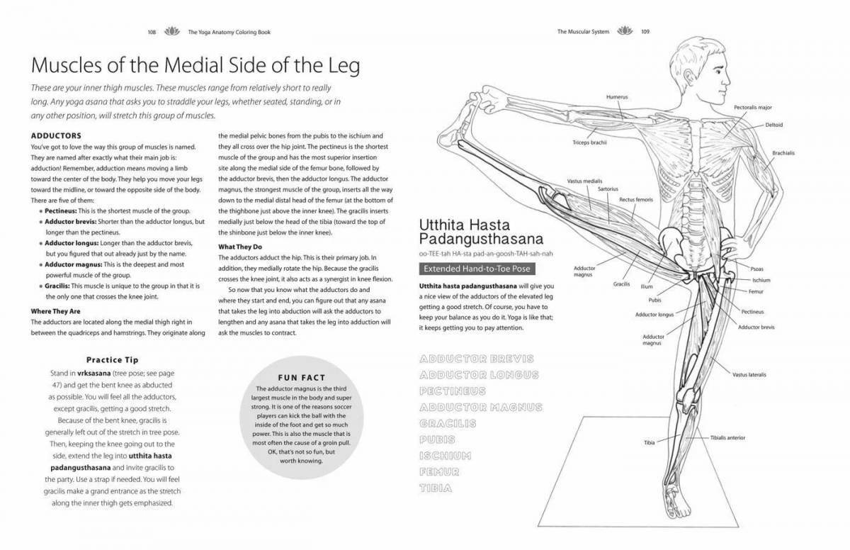 Mystical coloring atlas of yoga anatomy