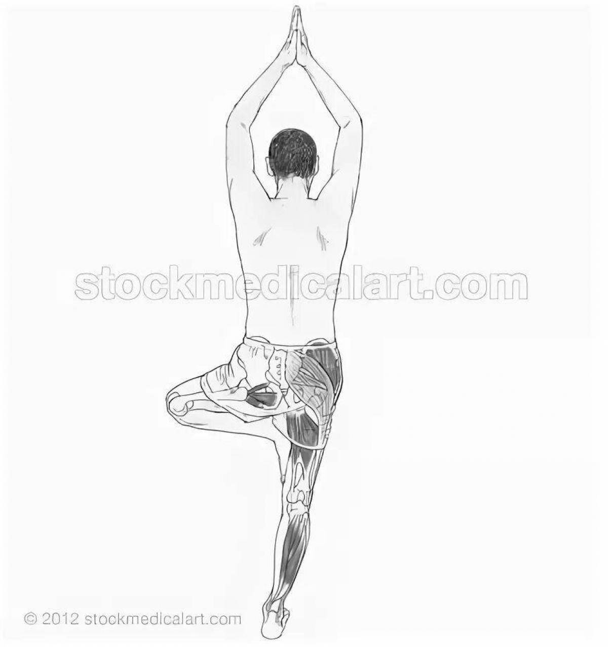 Образовательная раскраска атлас анатомии йоги