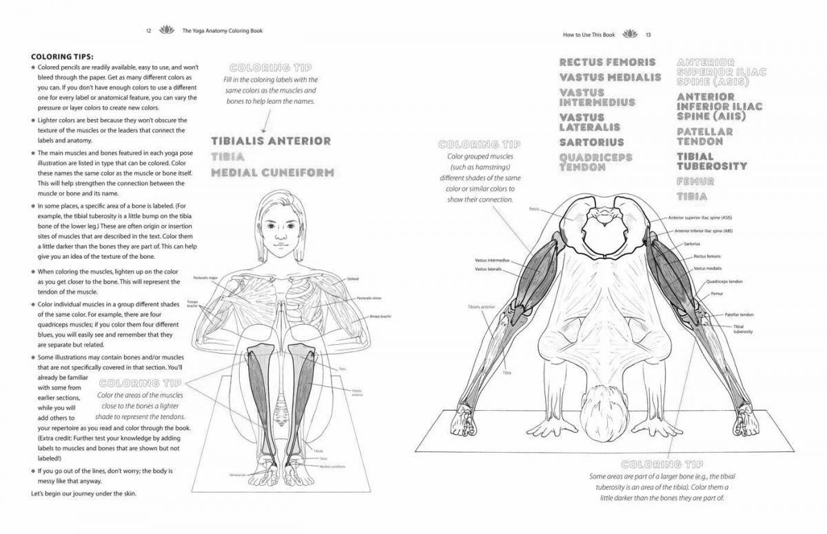 Информационная раскраска атлас анатомии йоги