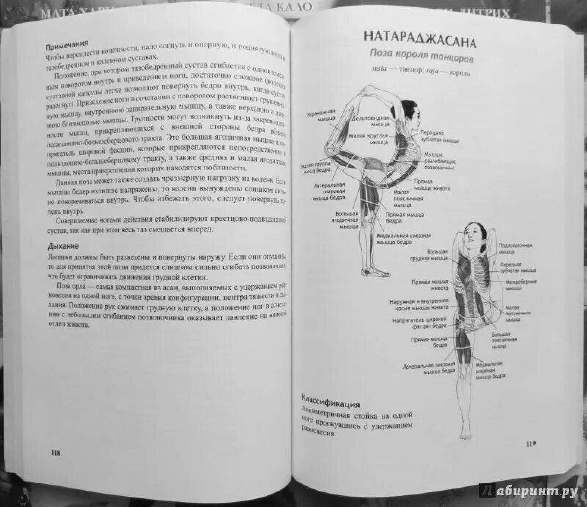 Majestic coloring page атлас анатомии йоги