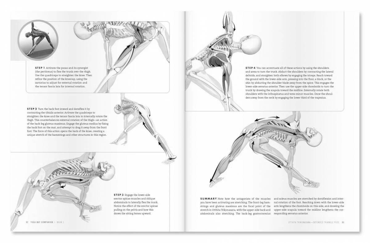 Потрясающая раскраска атлас анатомии йоги