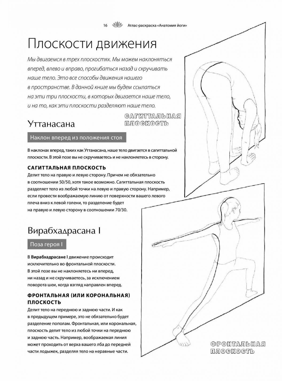Yoga anatomy atlas #3