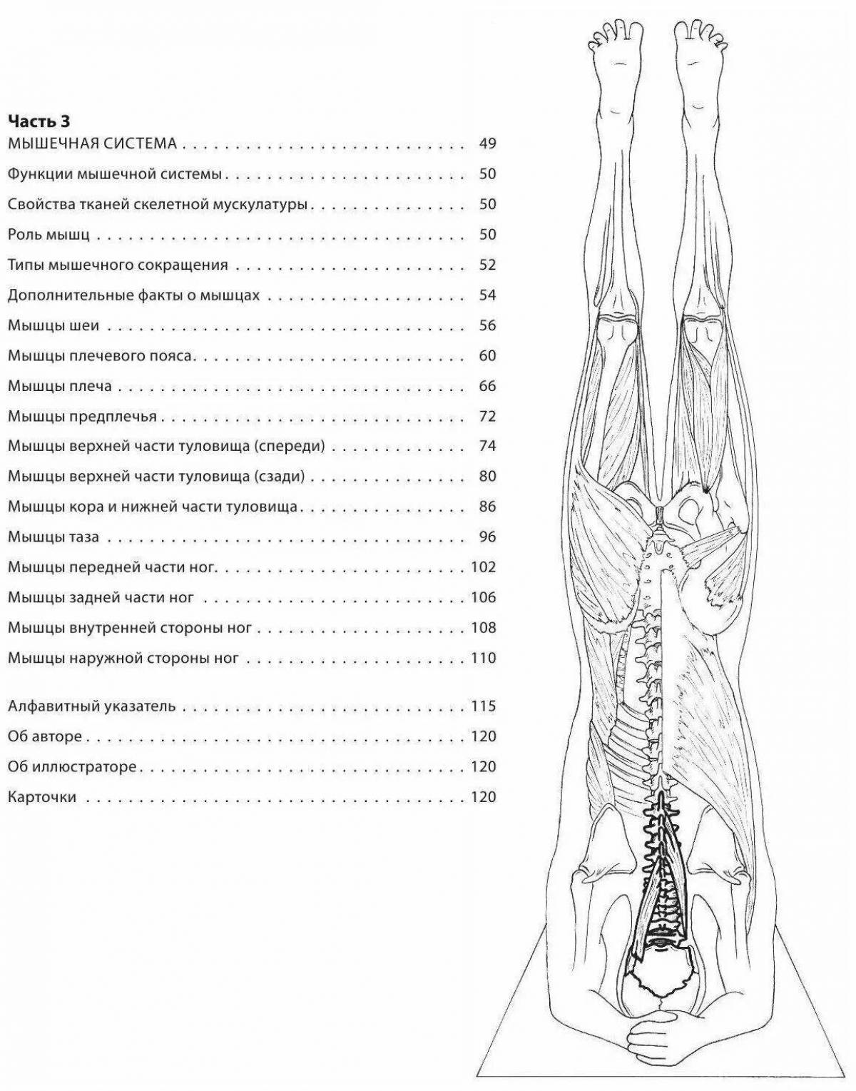 Yoga anatomy atlas #4