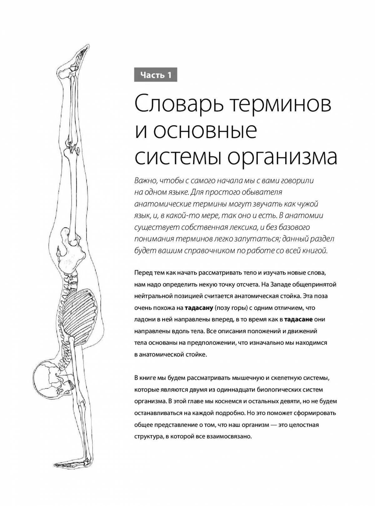 Yoga anatomy atlas #5