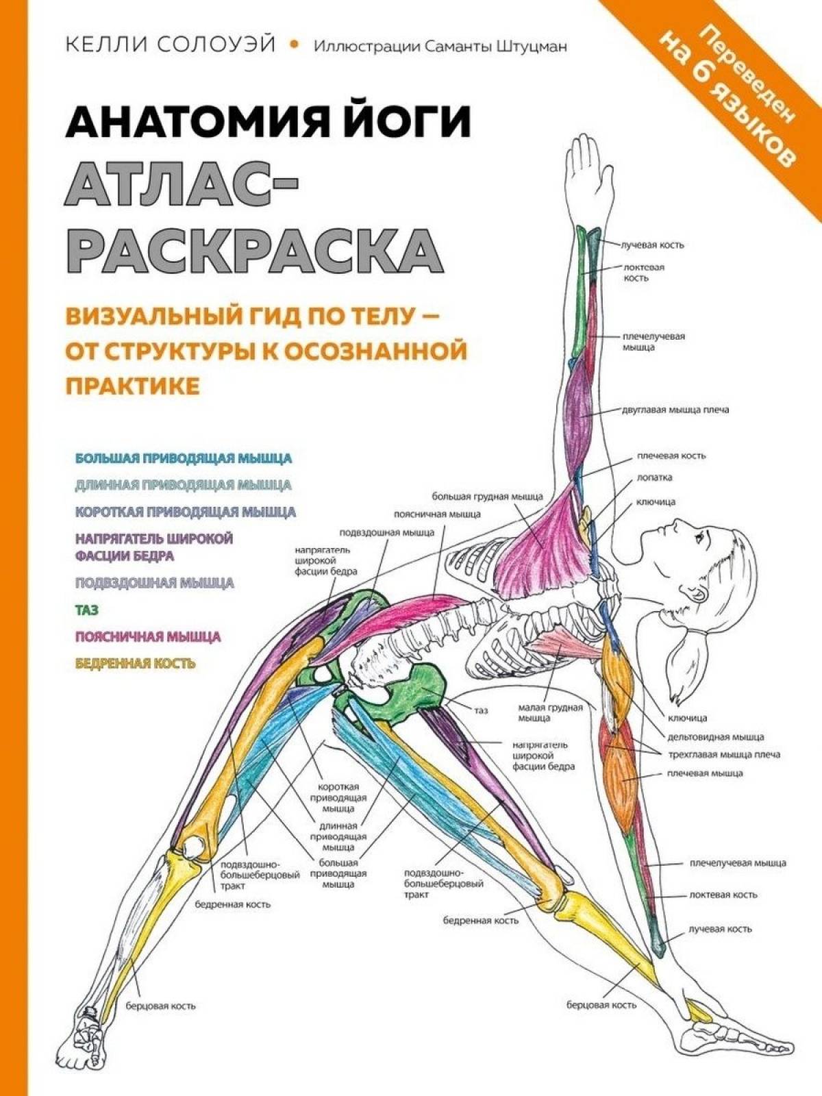 Анатомия йоги атлас #9
