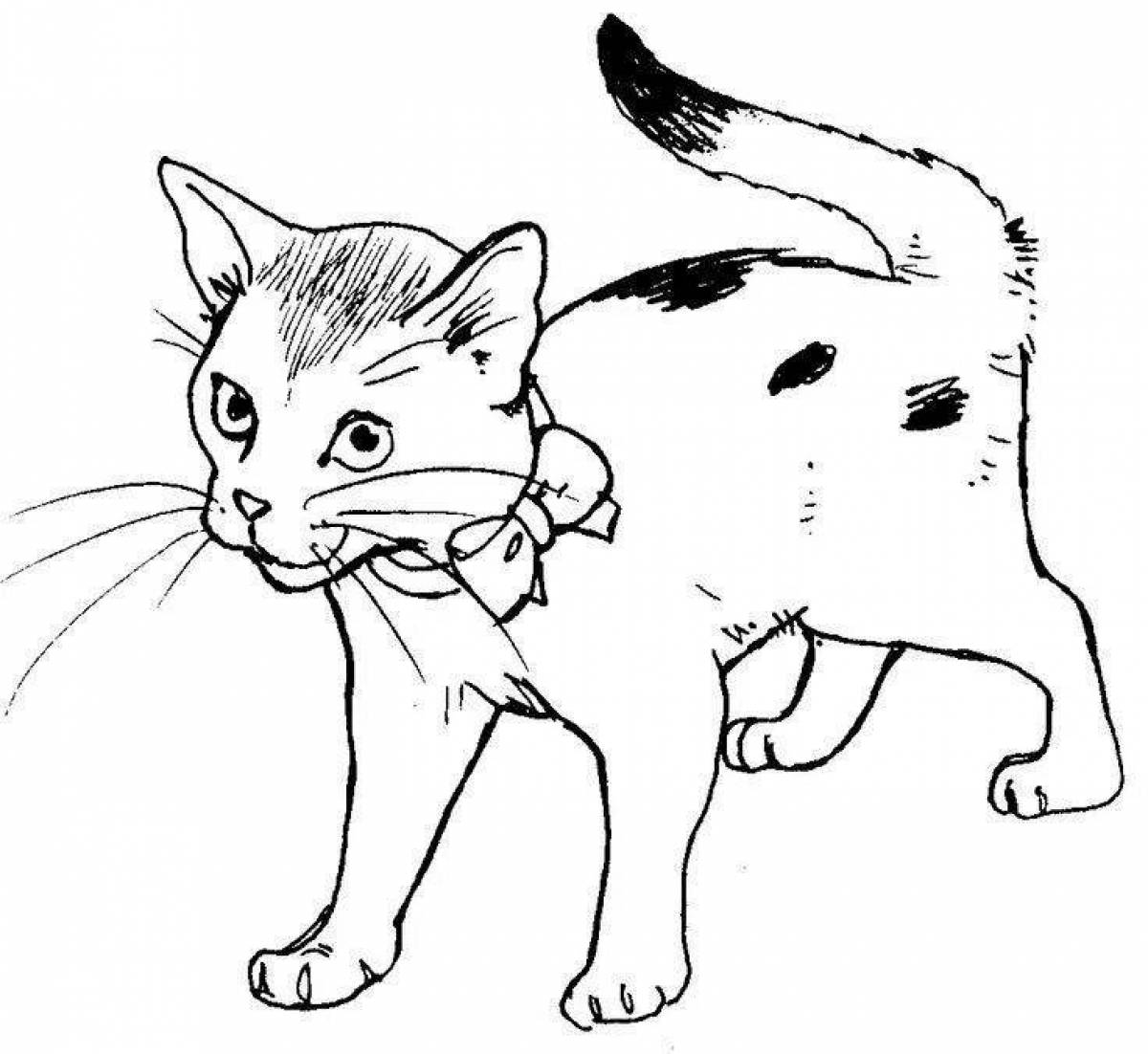 Playful cat coloring pages