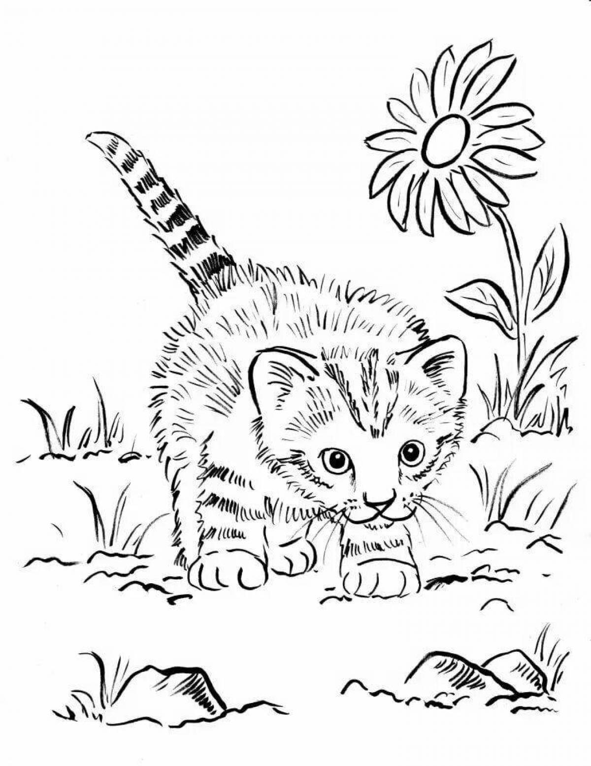 Adorable cats coloring pages