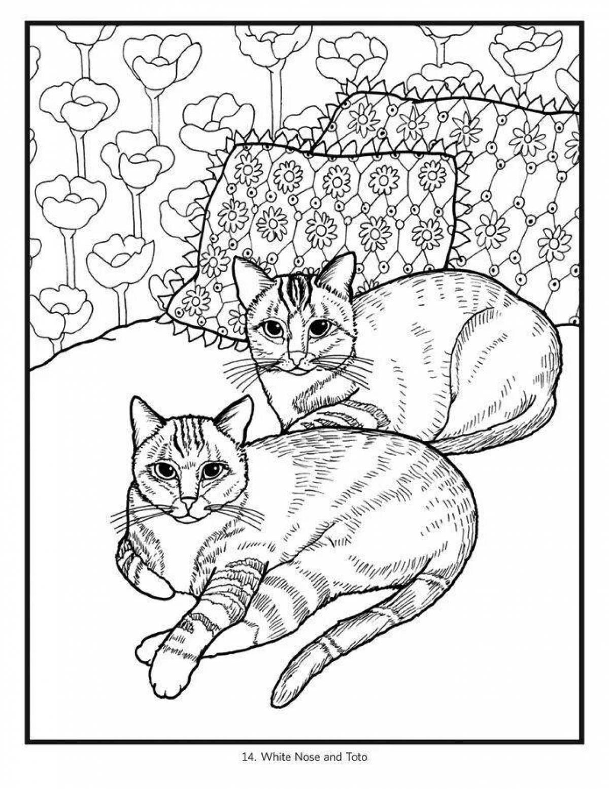 Colorful cats coloring pages