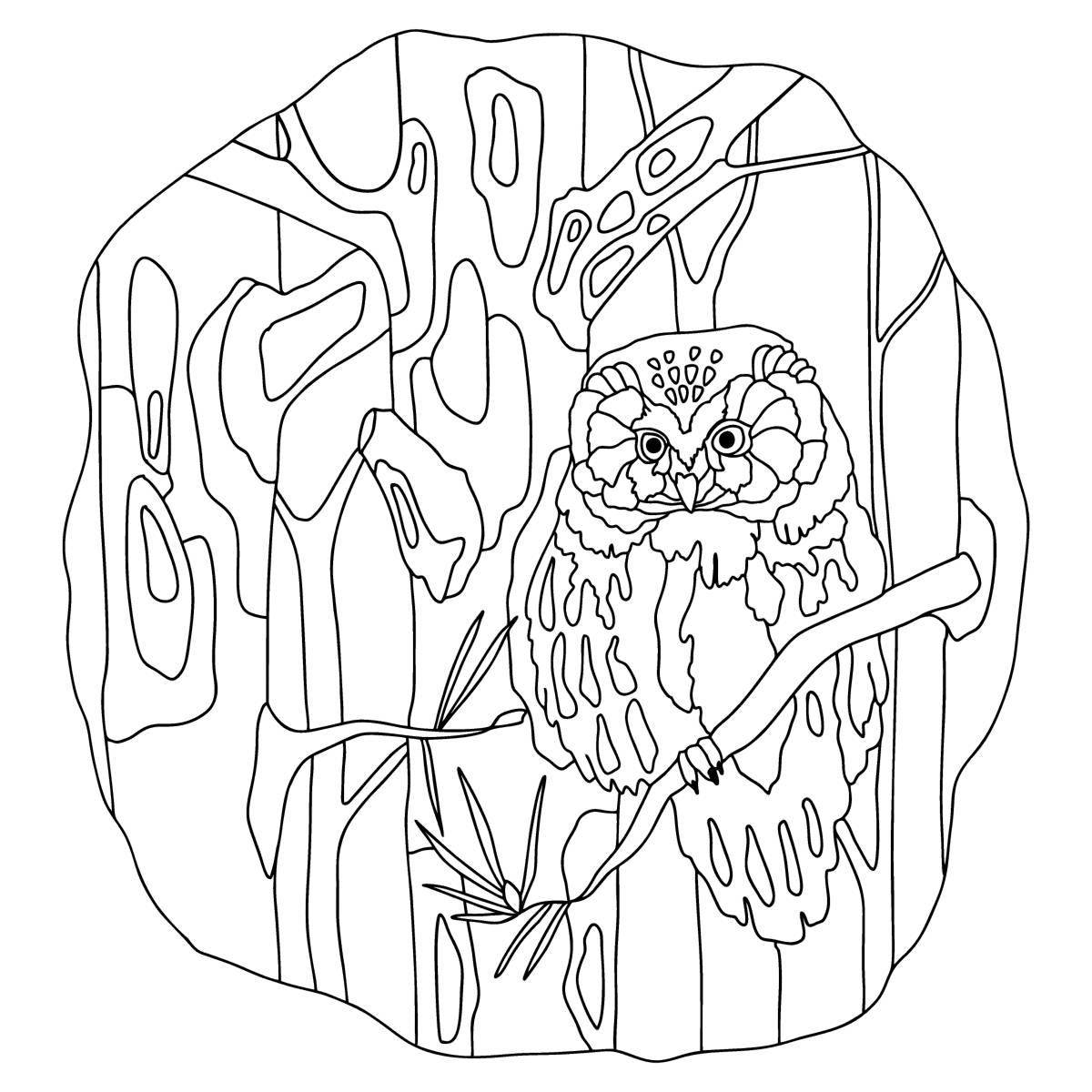 Majestic coloring owl in the hollow