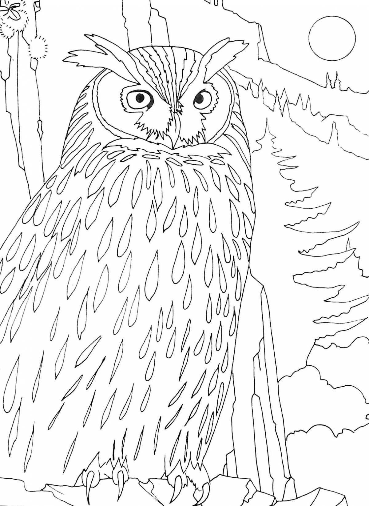 Charming coloring owl in the hollow