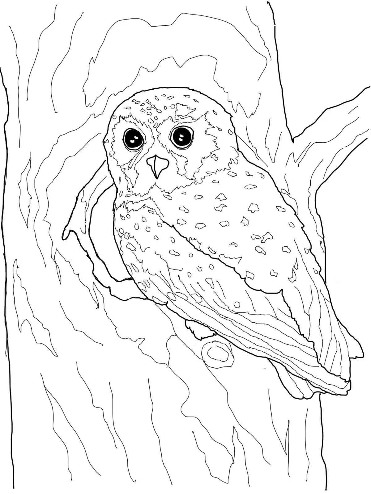 Delightful coloring owl in the hollow