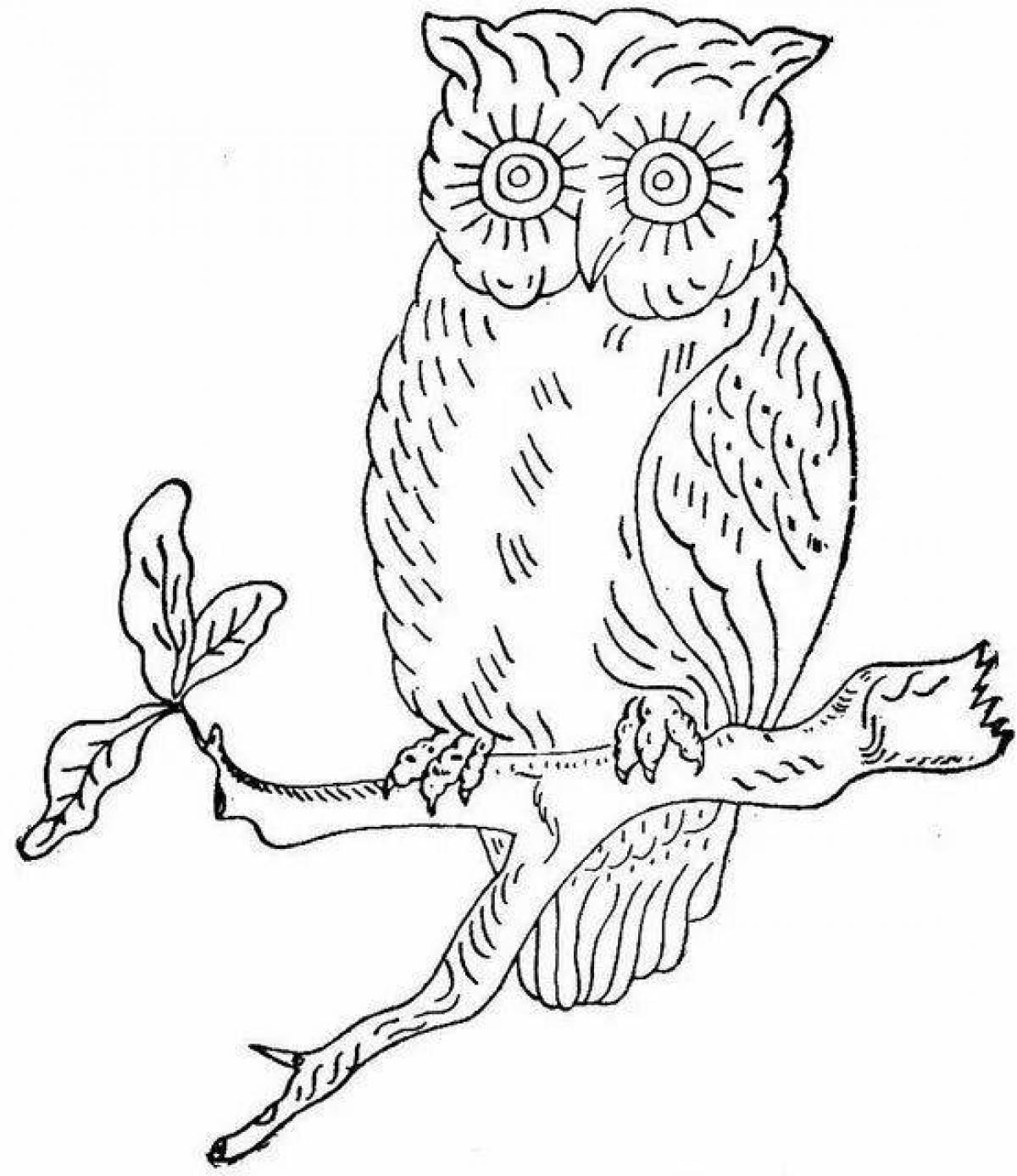 Violent coloring owl in the hollow