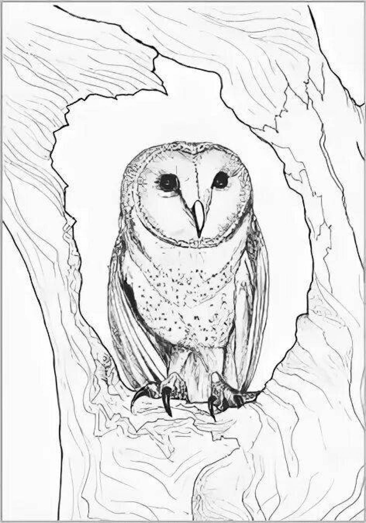 Joyful coloring owl in the hollow
