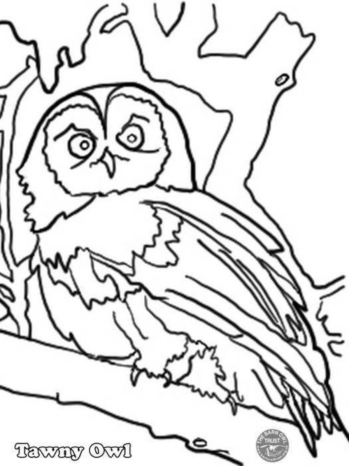 Glitter coloring owl in the hollow