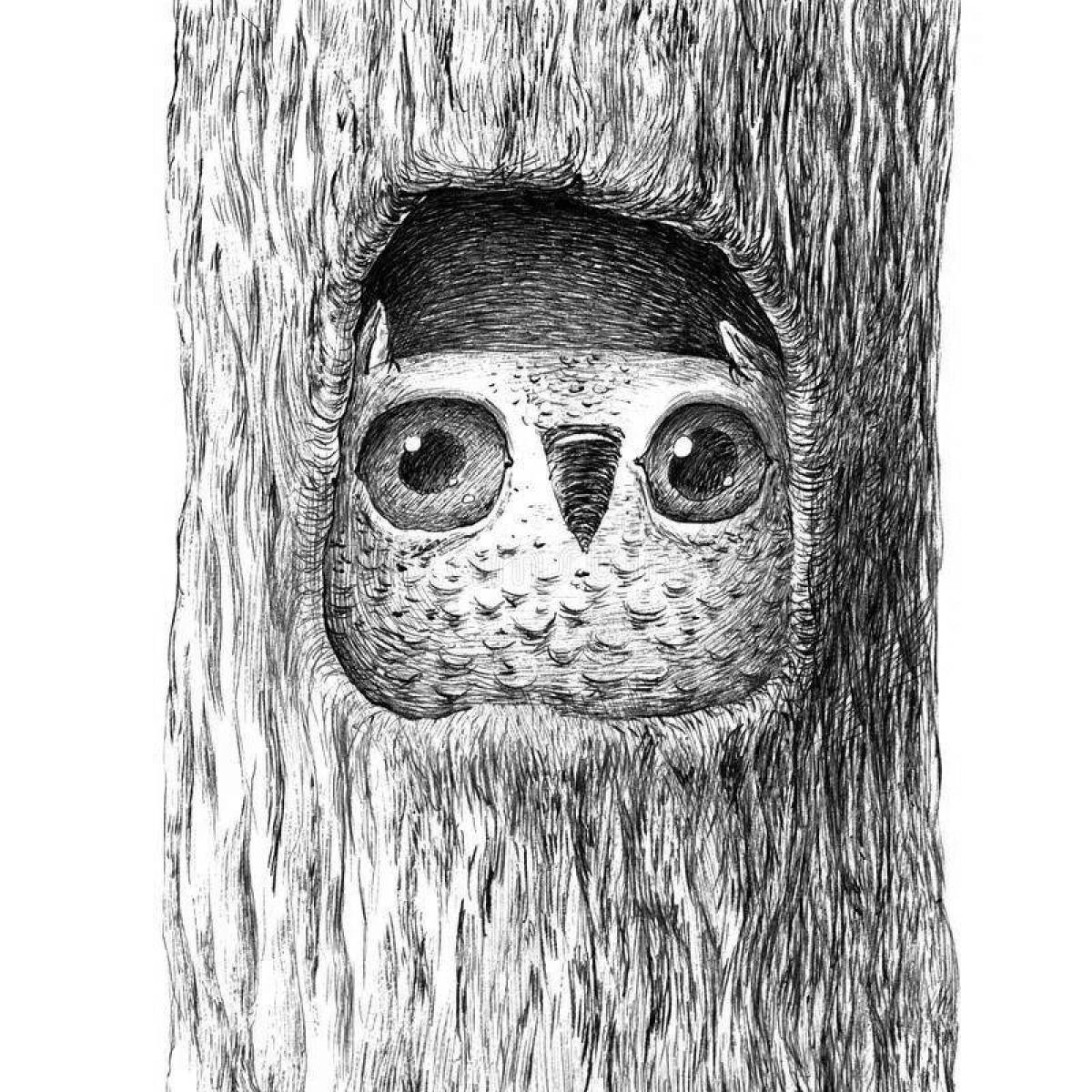 Owl in the hollow #1