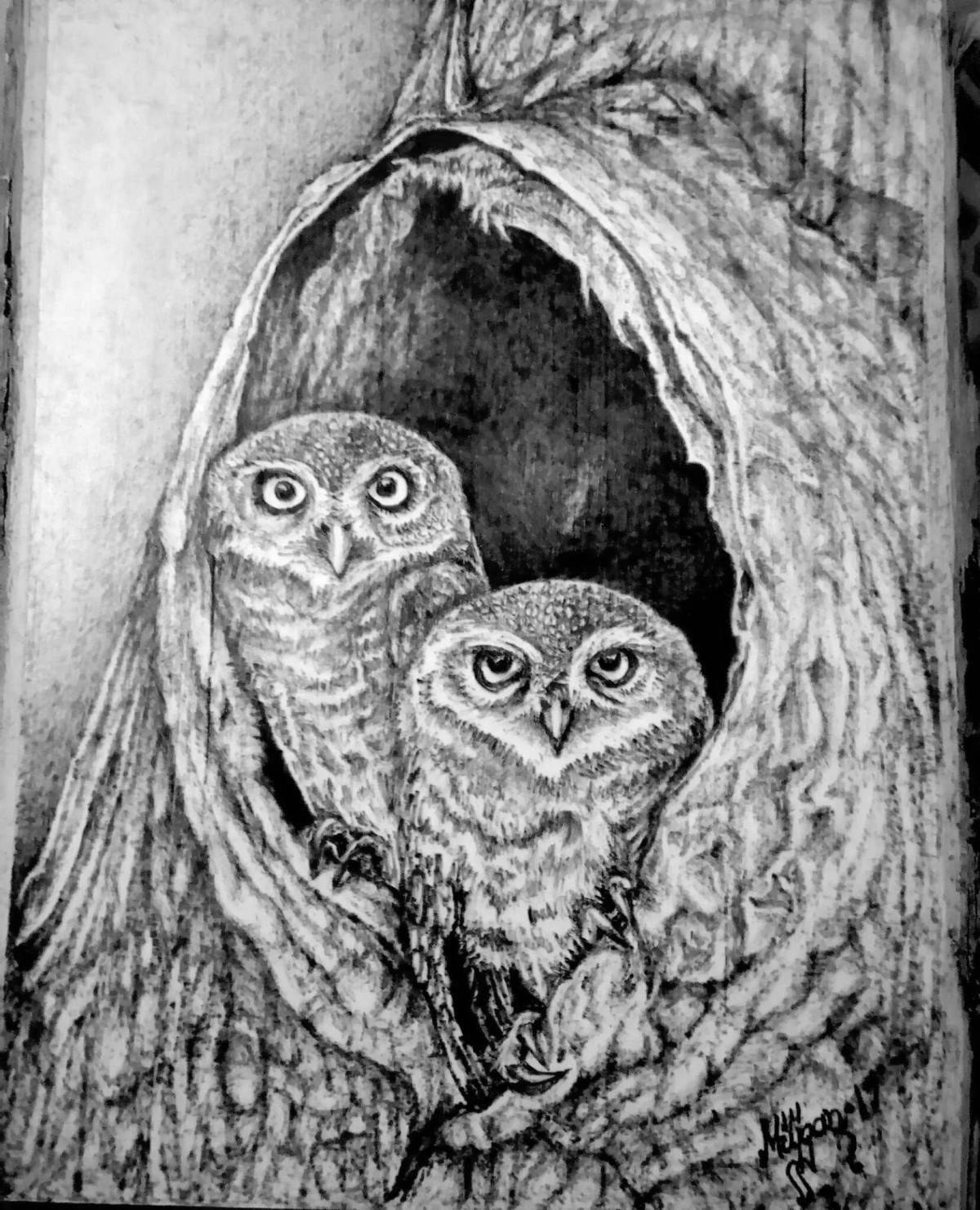 Owl in the hollow #4