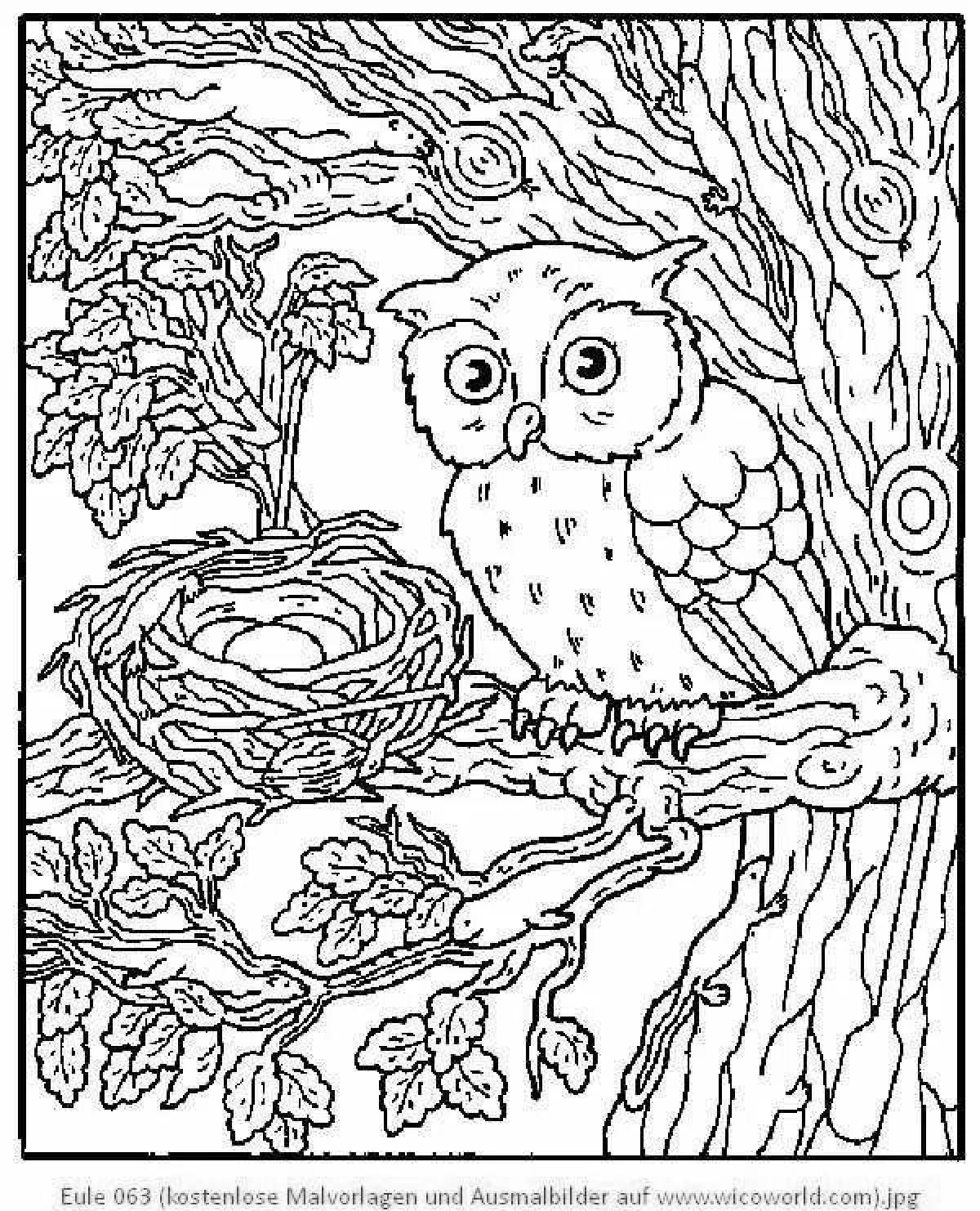 Owl in the hollow #6