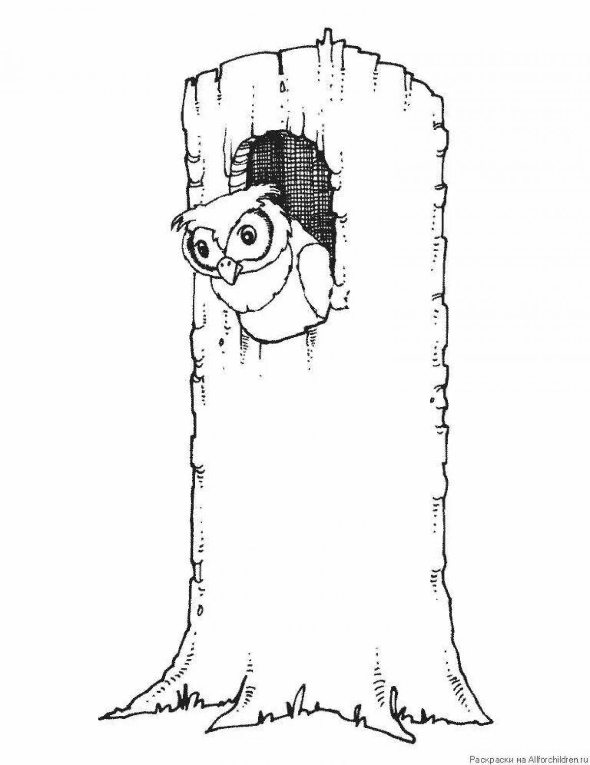 Owl in the hollow #13